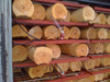 Вакуумные инфракрасные сушильные камеры EcoWood VIRK-5, VIRK-10 VIRK-5, рис.16